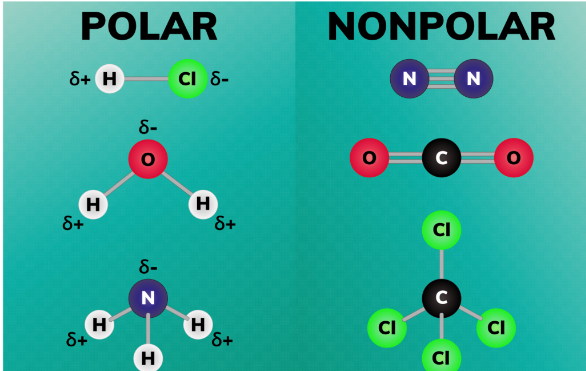 Polar vs. Non-Polar Solvents: Understanding Their Industrial Roles